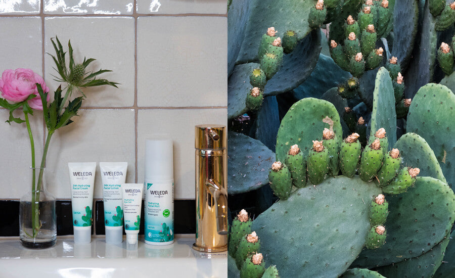 Cactus Hydration-serien frn Weleda - ett stort glas vatten fr huden!   Naturligt Snygg