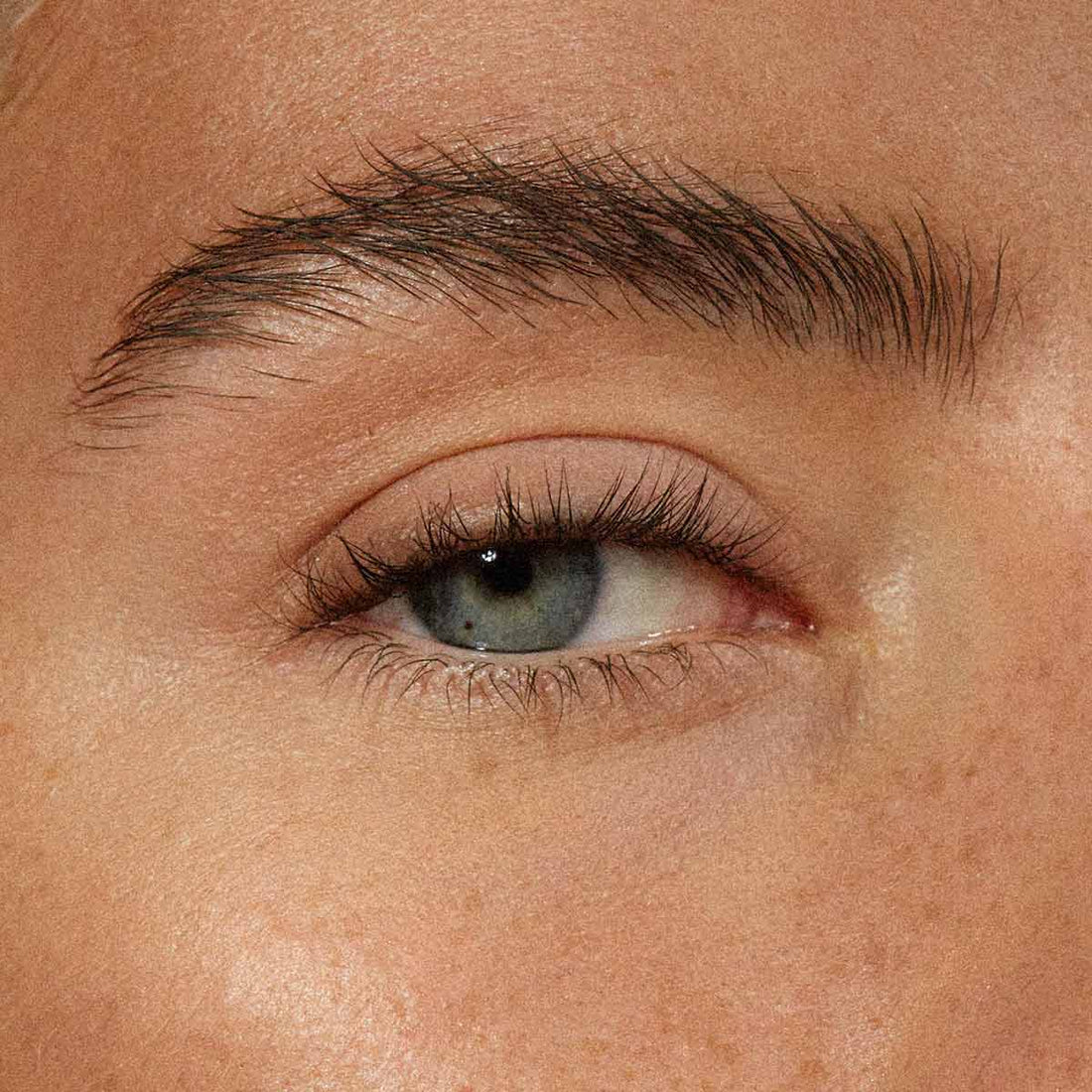MÁDARA The Brow Pencil,