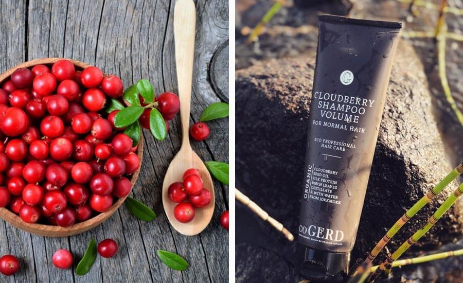 Sommarfavoriter från c/o Gerd