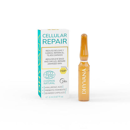 Dhyvana Ampuller CELLULAR REPAIR – 1 ampull