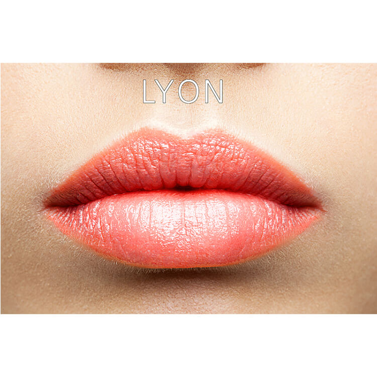 Maria-akerberg-lipgloss-lyon-swatch